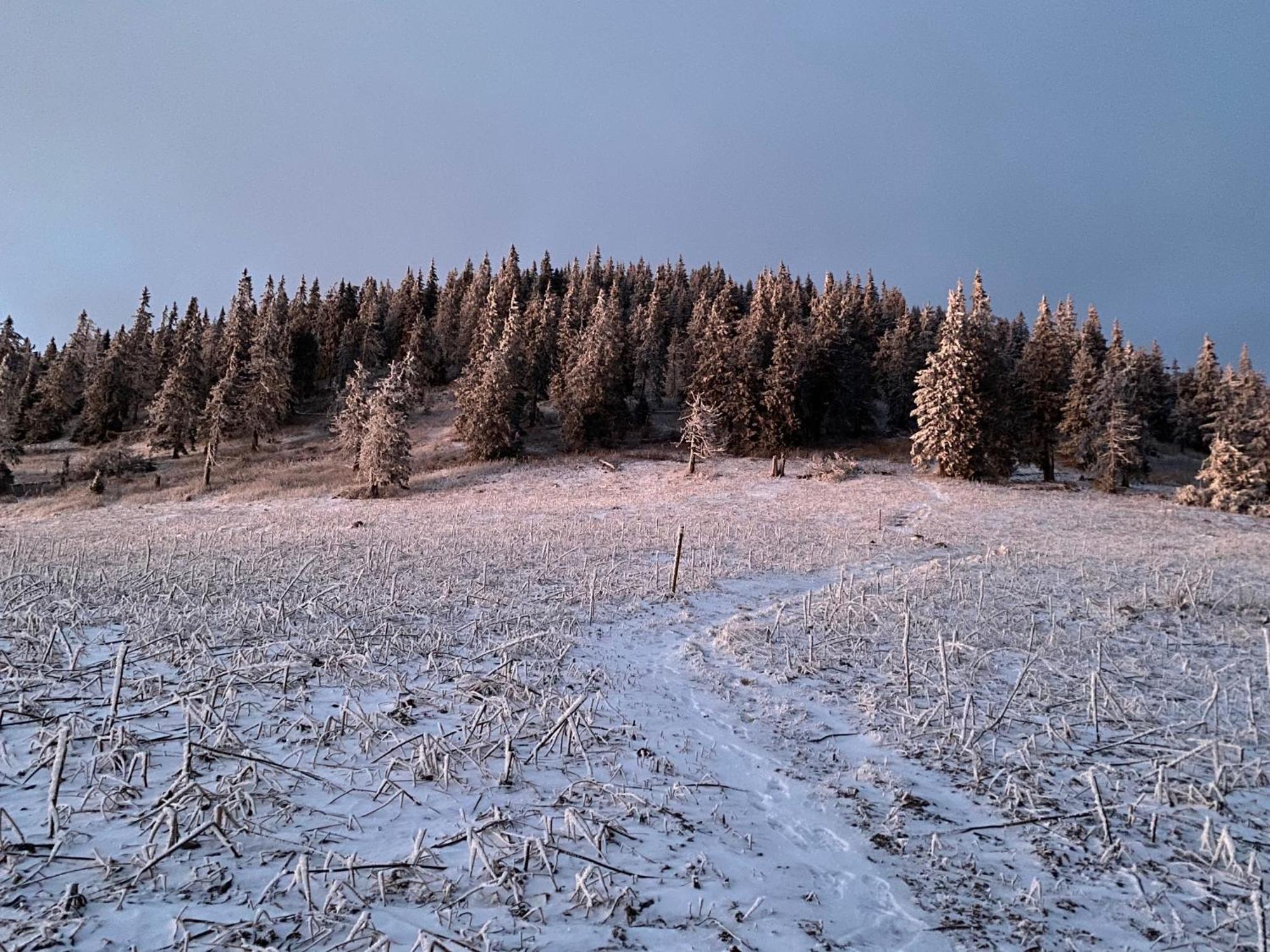 Drevenica Polomka, 20 Min To 5 Ski Resorts Brezno Dış mekan fotoğraf